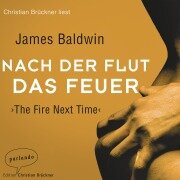 Nach der Flut das Feuer - James Baldwin