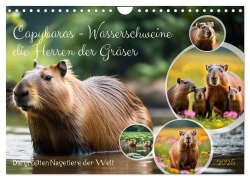 Capybaras - Wasserschweine die Herren der Gräser (Wandkalender 2025 DIN A4 quer), CALVENDO Monatskalender - Claudia Kleemann