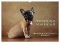 Charme auf vier Pfoten - Französische Bulldoggen Portraits (Wandkalender 2024 DIN A2 quer), CALVENDO Monatskalender - Jana Behr