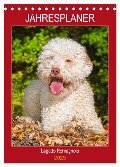 Jahresplaner Lagotto Romagnolo (Tischkalender 2025 DIN A5 hoch), CALVENDO Monatskalender - Sigrid Starick