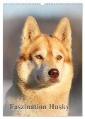 Faszination Husky (Wandkalender 2024 DIN A3 hoch), CALVENDO Monatskalender - Huskyranch of Snow Wolf Valley