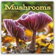 Cover-Bild zum Titel 'Mushrooms - Pilze 2026 - Wand-Kalender' von 'Carousel Calendar'
