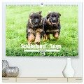 Langstockhaar - Schäferhund - Babys (hochwertiger Premium Wandkalender 2024 DIN A2 quer), Kunstdruck in Hochglanz - Jana K. Fotografie