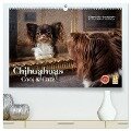 Chihuahuas - Cool and Cute (hochwertiger Premium Wandkalender 2024 DIN A2 quer), Kunstdruck in Hochglanz - Oliver Pinkoss Photostorys