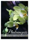 Phalaenopsis - Schöne Schmetterlingsorchideen (Wandkalender 2024 DIN A2 hoch), CALVENDO Monatskalender - Gisela Kruse