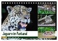Jaguare im Pantanal (Tischkalender 2024 DIN A5 quer), CALVENDO Monatskalender - Yvonne und Michael Herzog