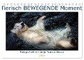Tierisch BEWEGENDE Momente (Tischkalender 2024 DIN A5 quer), CALVENDO Monatskalender - Antje Wenner-Braun
