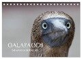 Galapagos (Tischkalender 2024 DIN A5 quer), CALVENDO Monatskalender - Ralf Weise