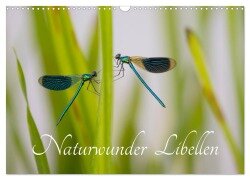 Cover-Bild zum Titel 'Naturwunder Libellen (Wandkalender 2026 DIN A3 quer), CALVENDO Monatskalender' von 'Renee Söhner - Morgensraus'
