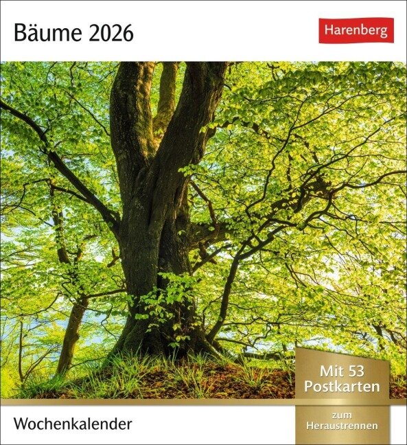 Bäume Postkartenkalender 2026 - Wochenkalender mit 53 Postkarten - 