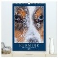 Hermine - Ein Jahr mit einem Mini Australian Shepherd (hochwertiger Premium Wandkalender 2025 DIN A2 hoch), Kunstdruck in Hochglanz - Kai Wernze