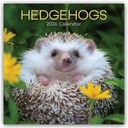 Cover-Bild zum Titel 'Hedgehogs - Igel 2026 - 16-Monatskalender' von 'The Gifted'