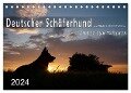 Deutscher Schäferhund / CH-Version (Tischkalender 2024 DIN A5 quer), CALVENDO Monatskalender - Petra Schiller