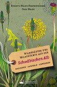 Wildkräuter und Wildfrüchte auf der Schwäbischen Alb. Erkennen, sammeln, anwenden - Brigitte Walde-Frankenberger, Paul Walde