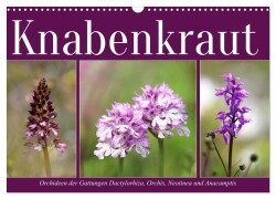 Knabenkraut (Wandkalender 2026 DIN A3 quer), CALVENDO Monatskalender - Sabine Löwer