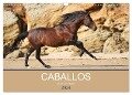Caballos Spanische Pferde 2024 (Wandkalender 2024 DIN A3 quer), CALVENDO Monatskalender - Petra Eckerl Tierfotografie