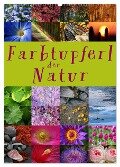 Farbtupferl der Natur (Wandkalender 2025 DIN A2 hoch), CALVENDO Monatskalender - Martina Cross