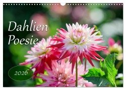 Dahlien Poesie (Wandkalender 2026 DIN A3 quer), CALVENDO Monatskalender - Rainer Plett