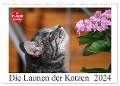 Die Launen der Katzen 2024 (Wandkalender 2024 DIN A3 quer), CALVENDO Monatskalender - Anna Kropf