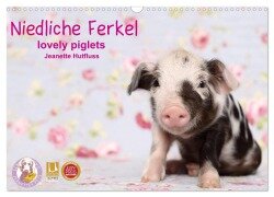 Cover-Bild zum Titel 'Niedliche Ferkel lovely piglets 2026 (Wandkalender 2026 DIN A3 quer), CALVENDO Monatskalender' von 'Jeanette Hutfluss'