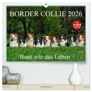Border Collie 2026 (hochwertiger Premium Wandkalender 2026 DIN A2 quer), Kunstdruck in Hochglanz - Sigrid Starick