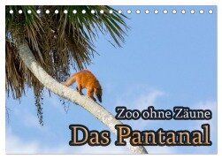 Zoo ohne Zäune - Das Pantanal (Tischkalender 2025 DIN A5 quer), CALVENDO Monatskalender - Jörg Sobottka