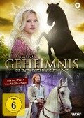 Cover-Bild zum Titel 'Armans Geheimnis' von 'Valentin Mereutza, Alex Schmidt, Ceylan Yildirim, Benjamin Gutsche, Marian Lux'