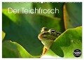 Der Teichfrosch (Wandkalender 2024 DIN A2 quer), CALVENDO Monatskalender - Christine Schmutzler-Schaub