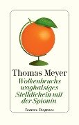 Cover-Bild zum Titel 'Wolkenbruchs waghalsiges Stelldichein mit der Spionin' von 'Thomas Meyer'