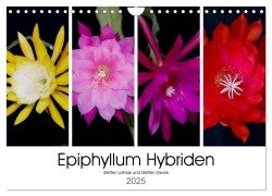 Epiphyllum-Hybriden (Wandkalender 2025 DIN A4 quer), CALVENDO Monatskalender - Steffen Latniak Gierok