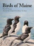 Birds of Maine - Peter Vickery, Charles Duncan, Jeffrey V Wells, William J Sheehan