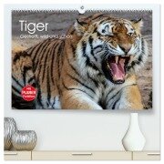 Cover-Bild zum Titel 'Tiger. Gestreift, wild und schön (hochwertiger Premium Wandkalender 2026 DIN A2 quer), Kunstdruck in Hochglanz' von 'Elisabeth Stanzer'