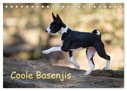 Coole Basenjis (Tischkalender 2026 DIN A5 quer), CALVENDO Monatskalender - Angelika Joswig