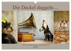 Die Dackel daggeln.... (Wandkalender 2026 DIN A3 quer), CALVENDO Monatskalender - Kathrin Köntopp