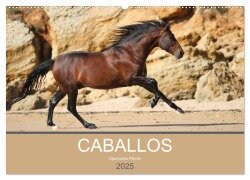 Caballos Spanische Pferde 2025 (Wandkalender 2025 DIN A2 quer), CALVENDO Monatskalender - Petra Eckerl Tierfotografie