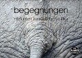 begegnungen - elefanten im südlichen afrika (Wandkalender immerwährend DIN A2 quer) - K. A. Rsiemer
