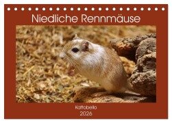 Niedliche Rennmäuse (Tischkalender 2026 DIN A5 quer), CALVENDO Monatskalender - Kattobello Kattobello