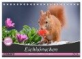 Eichhörnchen Momentaufnahmen fürs Herz (Tischkalender 2024 DIN A5 quer), CALVENDO Monatskalender - Tine Meier