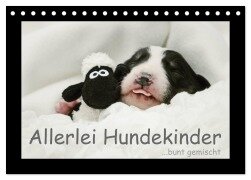 Allerlei Hundekinder (Tischkalender 2025 DIN A5 quer), CALVENDO Monatskalender - Kathrin Köntopp