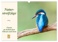 Naturstreifzüge. Fauna an heimischen Flüssen und Seen (Wandkalender 2025 DIN A3 quer), CALVENDO Monatskalender - Daniela Beyer (Moqui)