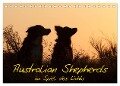 Australian Shepherds im Spiel des Lichts (Tischkalender 2024 DIN A5 quer), CALVENDO Monatskalender - Angela Münzel-Hashish - Www. Tierphotografie. Com