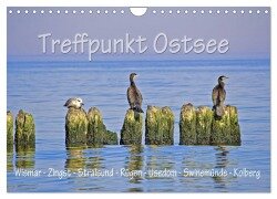 Treffpunkt Ostsee (Wandkalender 2026 DIN A4 quer), CALVENDO Monatskalender - Paul Michalzik