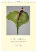EIN ENGEL BEGLEITET DICH (Wandkalender 2024 DIN A4 hoch), CALVENDO Monatskalender - Sabine Diedrich