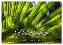 Naturformen, Blatt, Holz, Fels (Wandkalender 2025 DIN A2 quer), CALVENDO Monatskalender - Werner Braun
