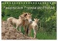 Faszination Przewalski-Pferde (Tischkalender 2024 DIN A5 quer), CALVENDO Monatskalender - Antje Lindert-Rottke