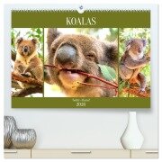 Koalas. Teddy-Alarm! (hochwertiger Premium Wandkalender 2026 DIN A2 quer), Kunstdruck in Hochglanz - Rose Hurley