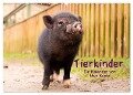 Tierkinder (Wandkalender 2024 DIN A2 quer), CALVENDO Monatskalender - Uwe Kantz
