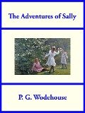 Cover-Bild zum Titel 'The Adventures of Sally' von 'P. G. Wodehouse'