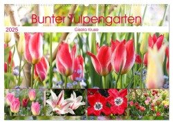 Bunter Tulpengarten (Wandkalender 2025 DIN A2 quer), CALVENDO Monatskalender - Gisela Kruse