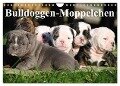 Bulldoggen-Moppelchen (Wandkalender 2024 DIN A4 quer), CALVENDO Monatskalender - Elisabeth Stanzer
